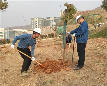 植樹(shù)活動(dòng)